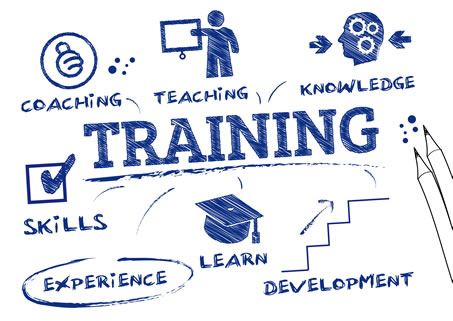 Training & Human Capital Development